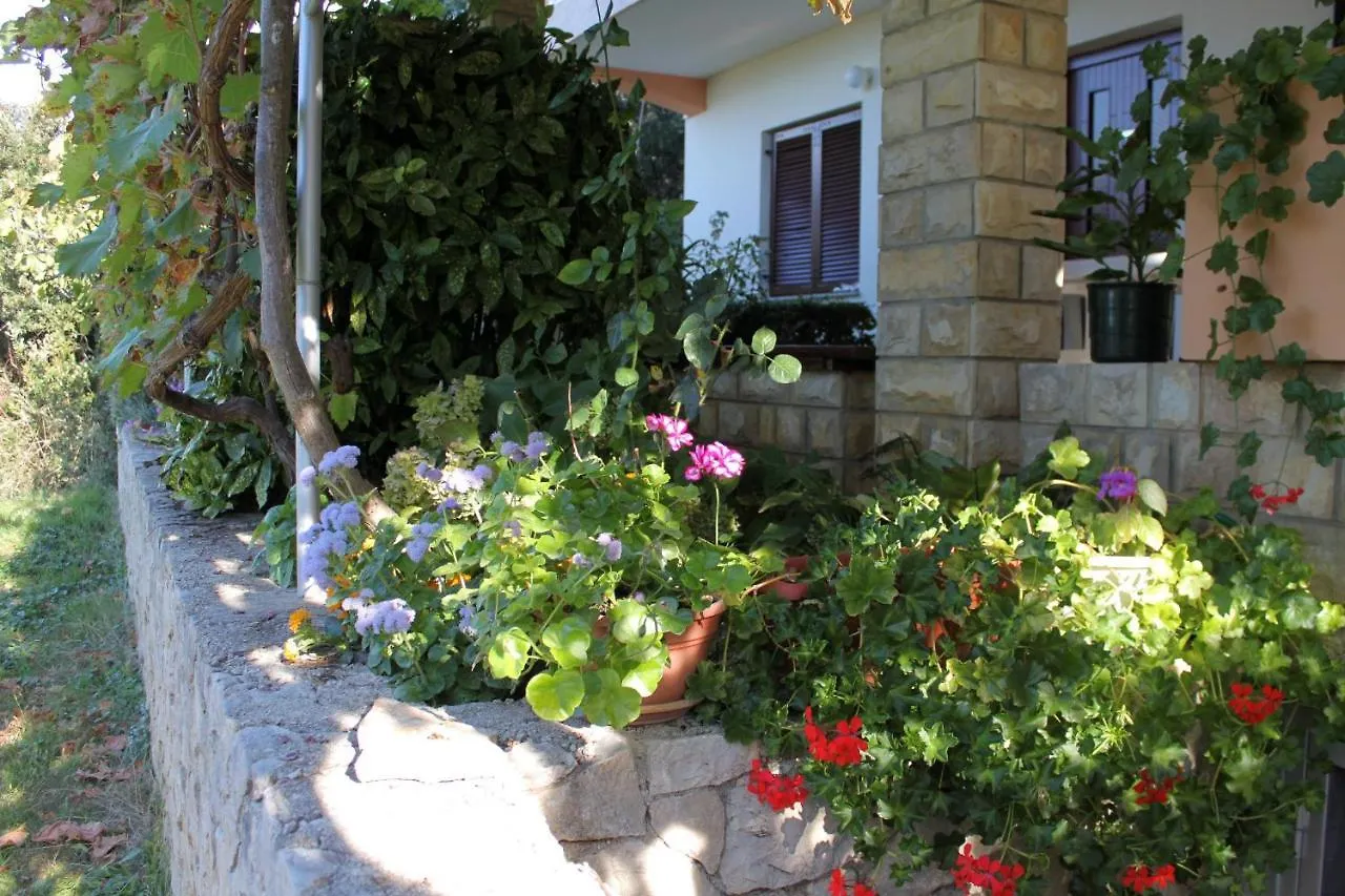 Family Friendly Seaside Apartments Kozino, Zadar - 5749 Petrcane